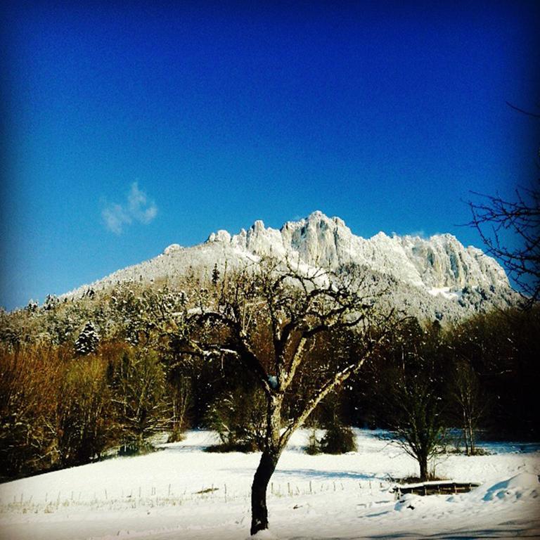 Village Vacances Les Alerions Talloires Kültér fotó